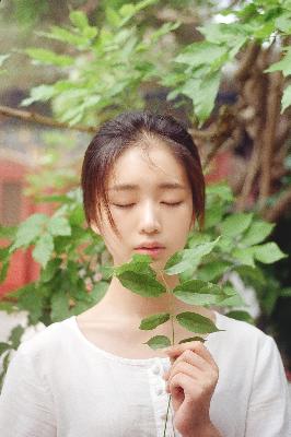 哈哈哈哈哈第五季免费观看完整版